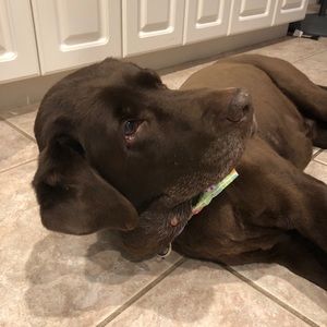 Meet your Posher, Deb